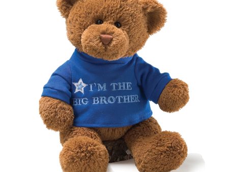 “I’m the Big Brother” Bear, Blue, 12 in Hot on Sale