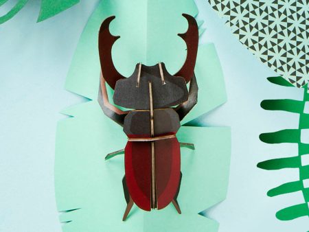 Stag Beetle Sale