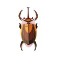 Elephant Beetle on Sale