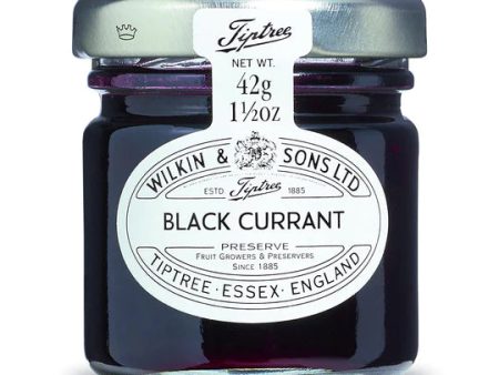 Tiptree Mini Blackcurrant Preserve x 6 on Sale