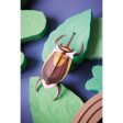 Elephant Beetle on Sale