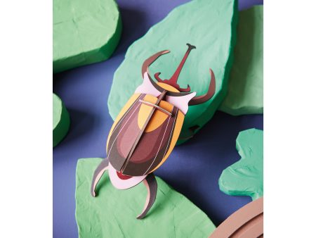 Elephant Beetle on Sale