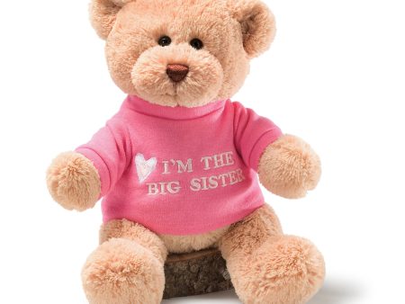 “I’m the Big Sister” Bear, Pink, 12 in on Sale