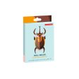 Elephant Beetle on Sale