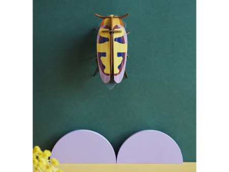 Mango Flower Beetle Discount